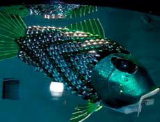 Robot balıklar sayesinde deniz kirliliği önlenecek